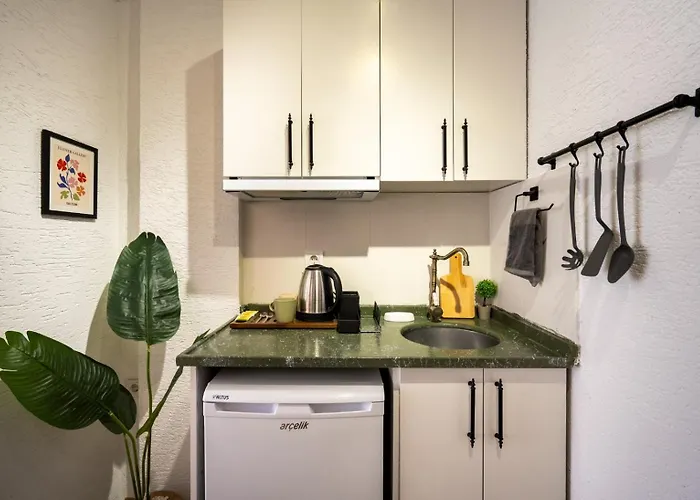 The Palm Suits アパートホテル イスタンブール