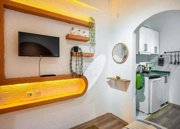 アパートホテル The Palm Suits イスタンブール