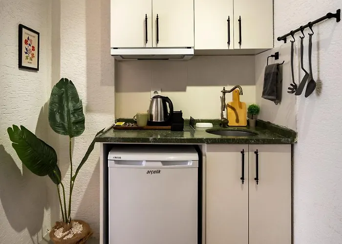 アパートホテル The Palm Suits イスタンブール