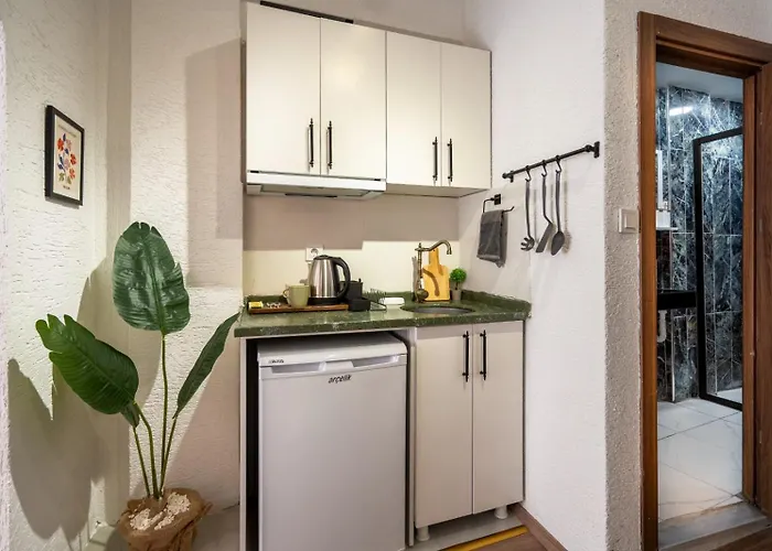 The Palm Suits イスタンブール