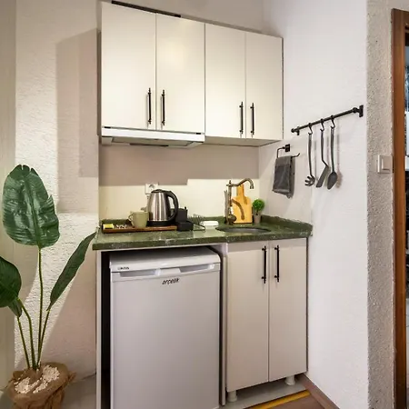 The Palm Suits 伊斯坦布尔