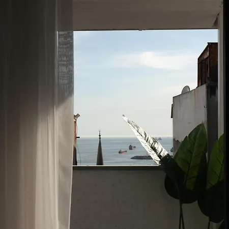 The Palm Suits * Istanbul